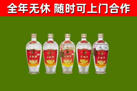 景德镇回收老五粮液